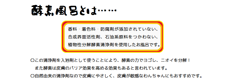 酵素風呂とは