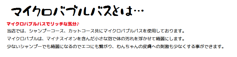 マイクロバブルとは