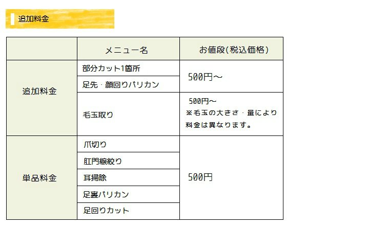 追加料金